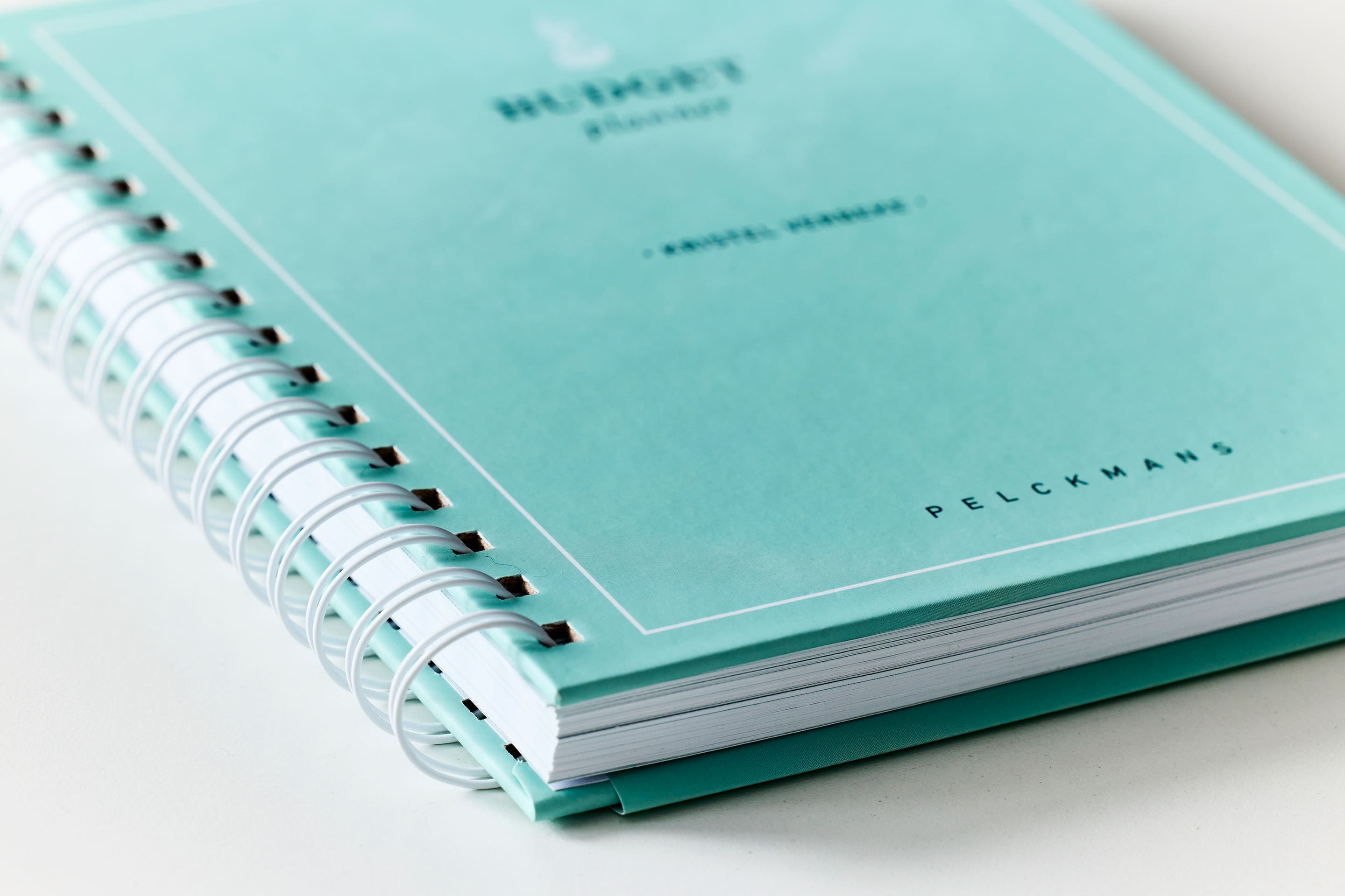 lichtblauwe planner Pelckmans